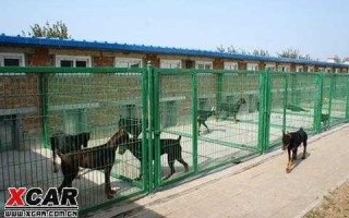  犬舍名字设计图「犬舍名字大全 霸气的」