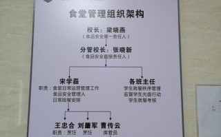 学校食堂分工怎么分-学校食堂分区设计图