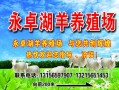 喷绘设计图养殖_喷绘制作