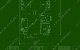 平房屋设计图_平房屋设计图二室一庭一卫