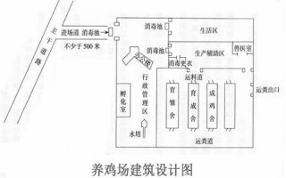 鸡场内部设计图,鸡场平面设计布置图 