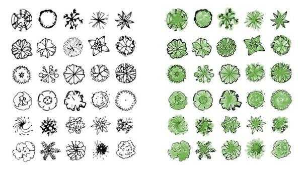 平面植物高度设计图,平面植物简笔画 -第3张图片-室内构图家装