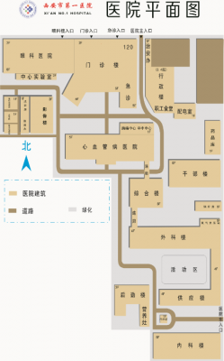  一级医院平面设计图「一级医院布局图」-第1张图片-室内构图家装