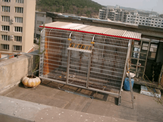 简易鸽棚设计图（简易鸽舍建造图片欣赏）-第1张图片-室内构图家装