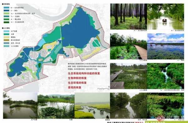 森林湿地人工设计图-第3张图片-室内构图家装