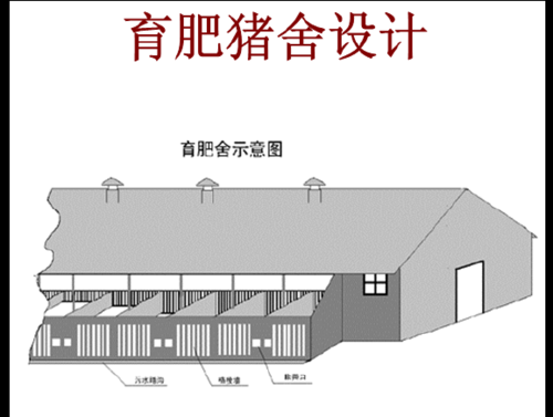 猪舍怎么设计图片大全-猪舍怎么设计图-第2张图片-室内构图家装