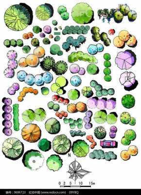 手绘平面植物设计图片大全-手绘平面植物设计图-第3张图片-室内构图家装