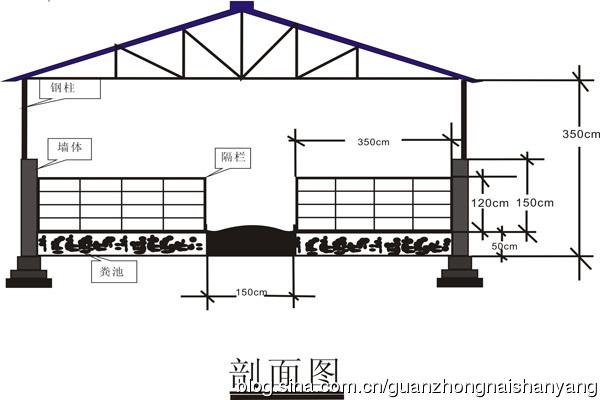 标准羊棚设计图「标准化羊舍平面图」-第3张图片-室内构图家装