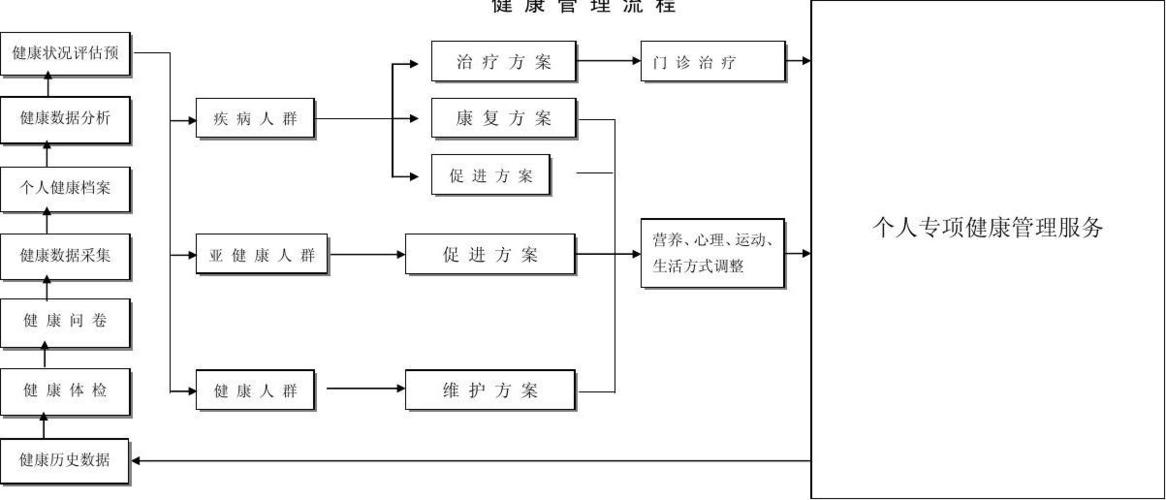 健康管理的基本内容和步骤基本策略 健康管理的技术设计图-第2张图片-室内构图家装