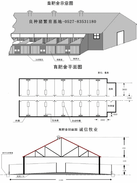 农村母猪圈的设计视频教程 农村母猪圈的设计图-第1张图片-室内构图家装