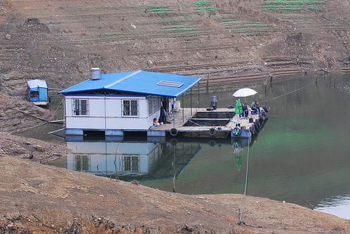 大型钓鱼棚设计图（室内钓鱼大棚建造）-第1张图片-室内构图家装