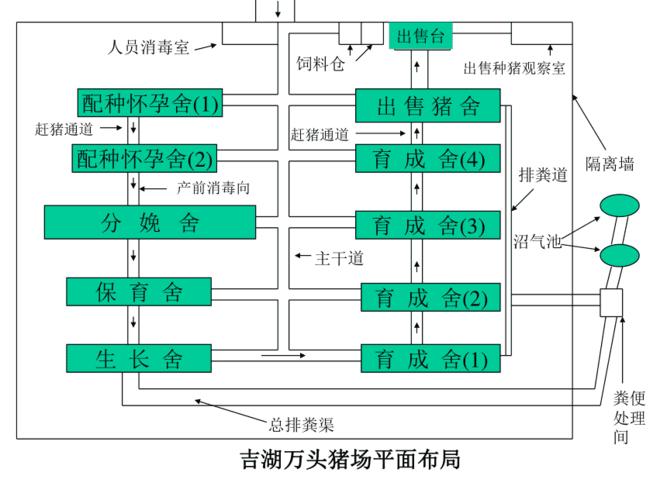 大型猪场建设规划和猪舍建筑-第2张图片-室内构图家装