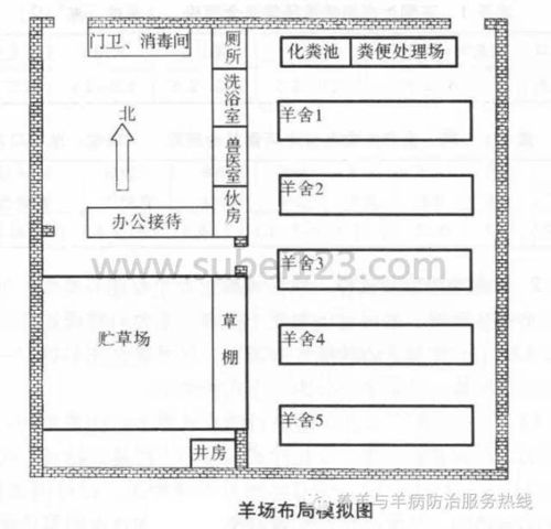 羊养殖场平面设计图,羊场养殖场设计图平面图 -第2张图片-室内构图家装