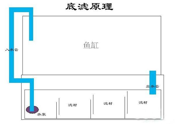 鱼缸底滤设计图原理 鱼缸底滤设计图-第1张图片-室内构图家装