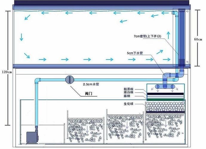 鱼缸底滤设计图原理 鱼缸底滤设计图-第3张图片-室内构图家装