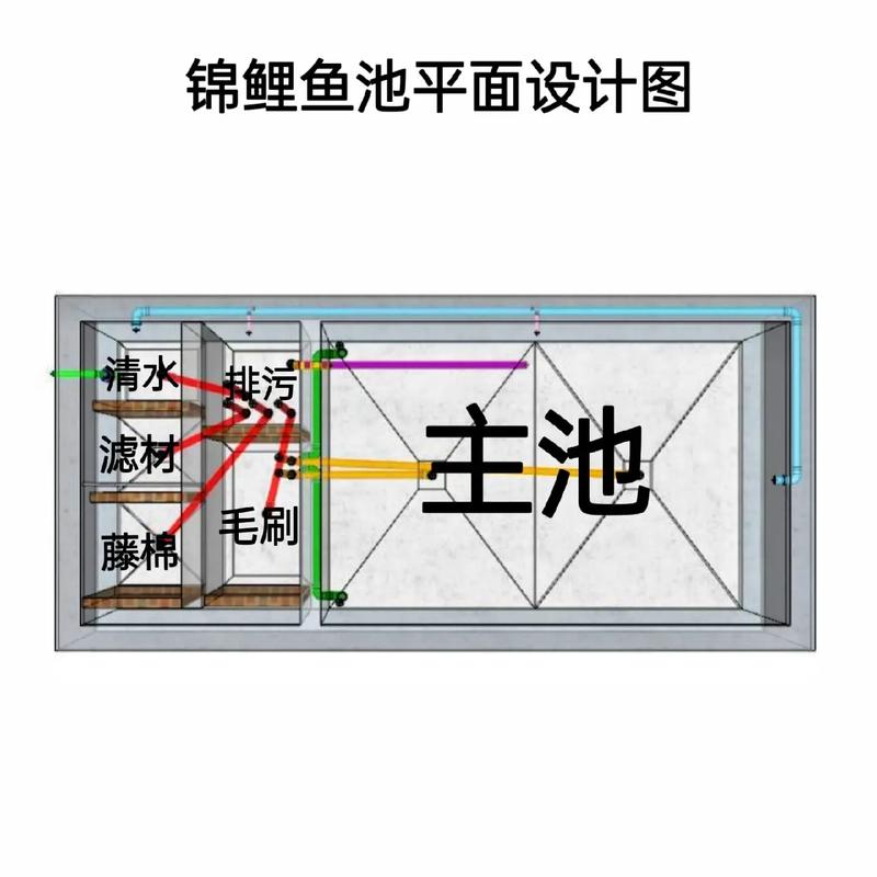 金鱼池怎么排鱼便 金鱼池排水设计图-第3张图片-室内构图家装