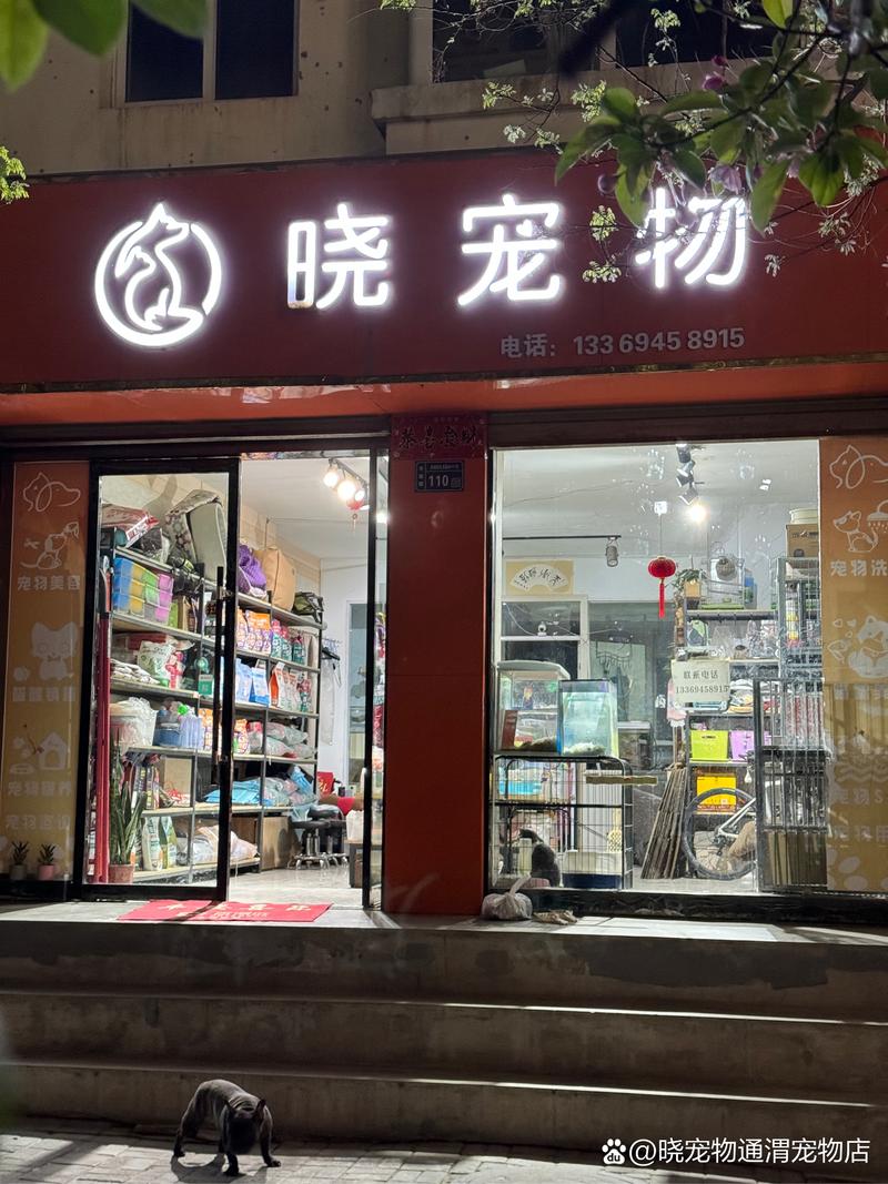 宠物店门口图片-第3张图片-室内构图家装